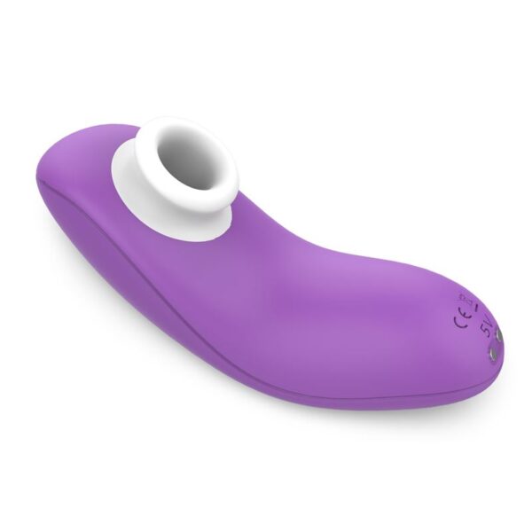 Succionador y Vibrador Airpulse Voyager