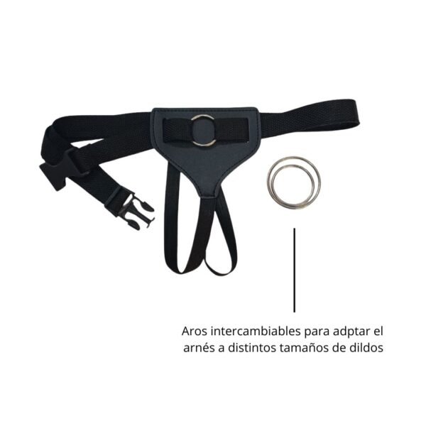 Arnés para dildo. Intercambiable - Image 2